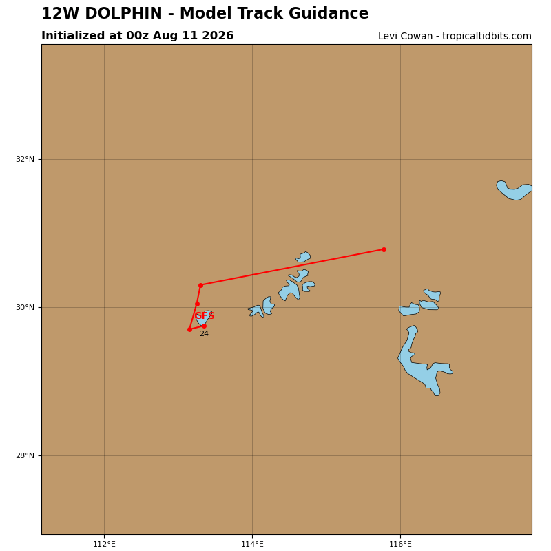 Dolphin